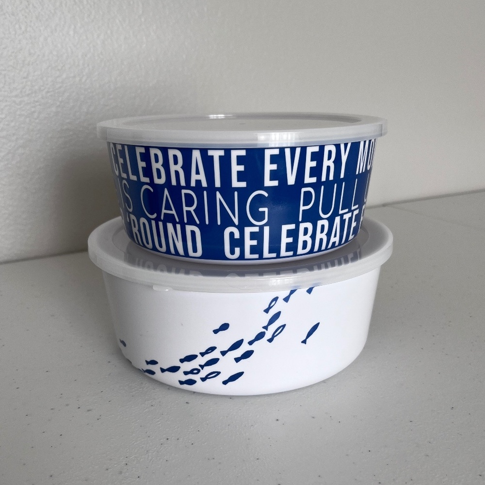 The Cellar 2-Pc. Printed Nesting Storage Containers & Lids Set